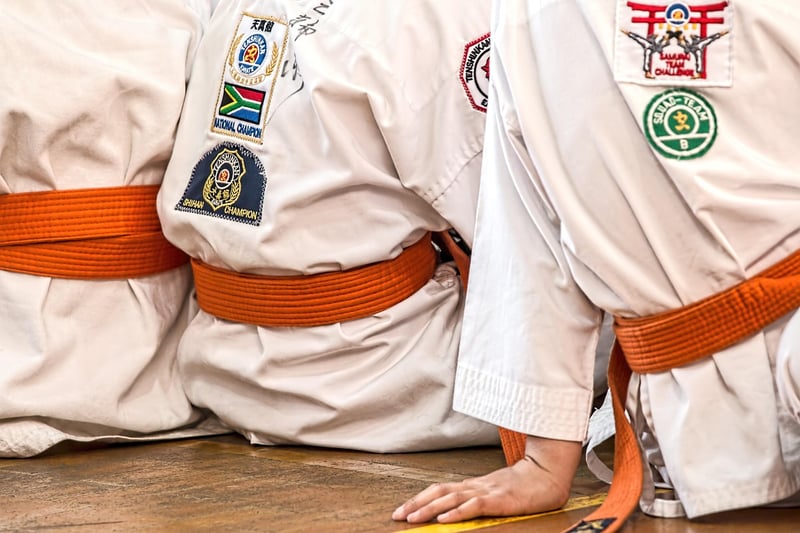Jiu-Jitsu Image 2